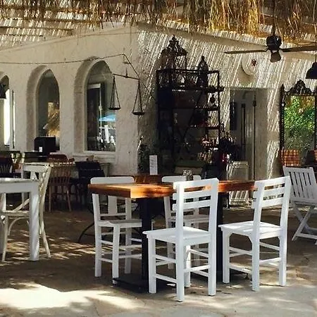 Cohiba 古托克布库