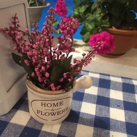 Cohiba 酒店 古托克布库