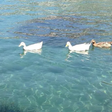 Cohiba 酒店 古托克布库