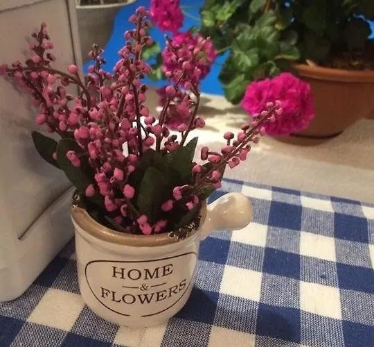 Cohiba 호텔 골터크부쿠