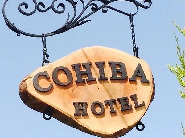 Cohiba 골터크부쿠