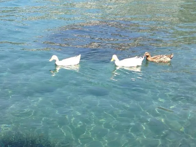 Cohiba 호텔 골터크부쿠