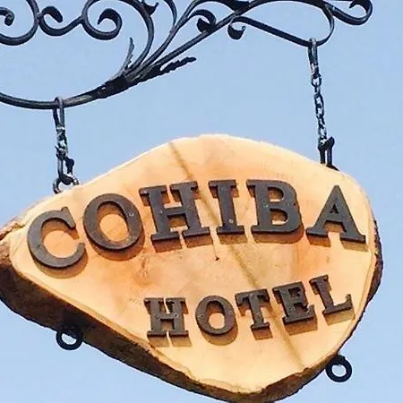 Cohiba Göltürkbükü